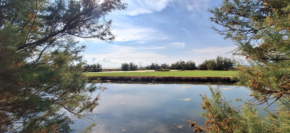 Veduta di una valle di pesca, incorniciata da due tamerici